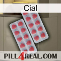 Cial 19